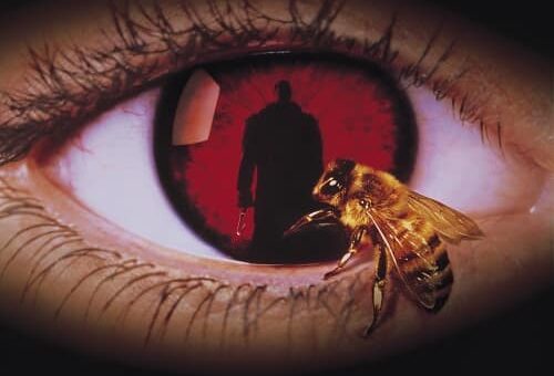 Candyman (1992): Eine Analyse seiner Themenkomplexe Candyman-Werbeplakat: Der Candybild als Pupille eines Auges, auf dem eine Biene krabbelt